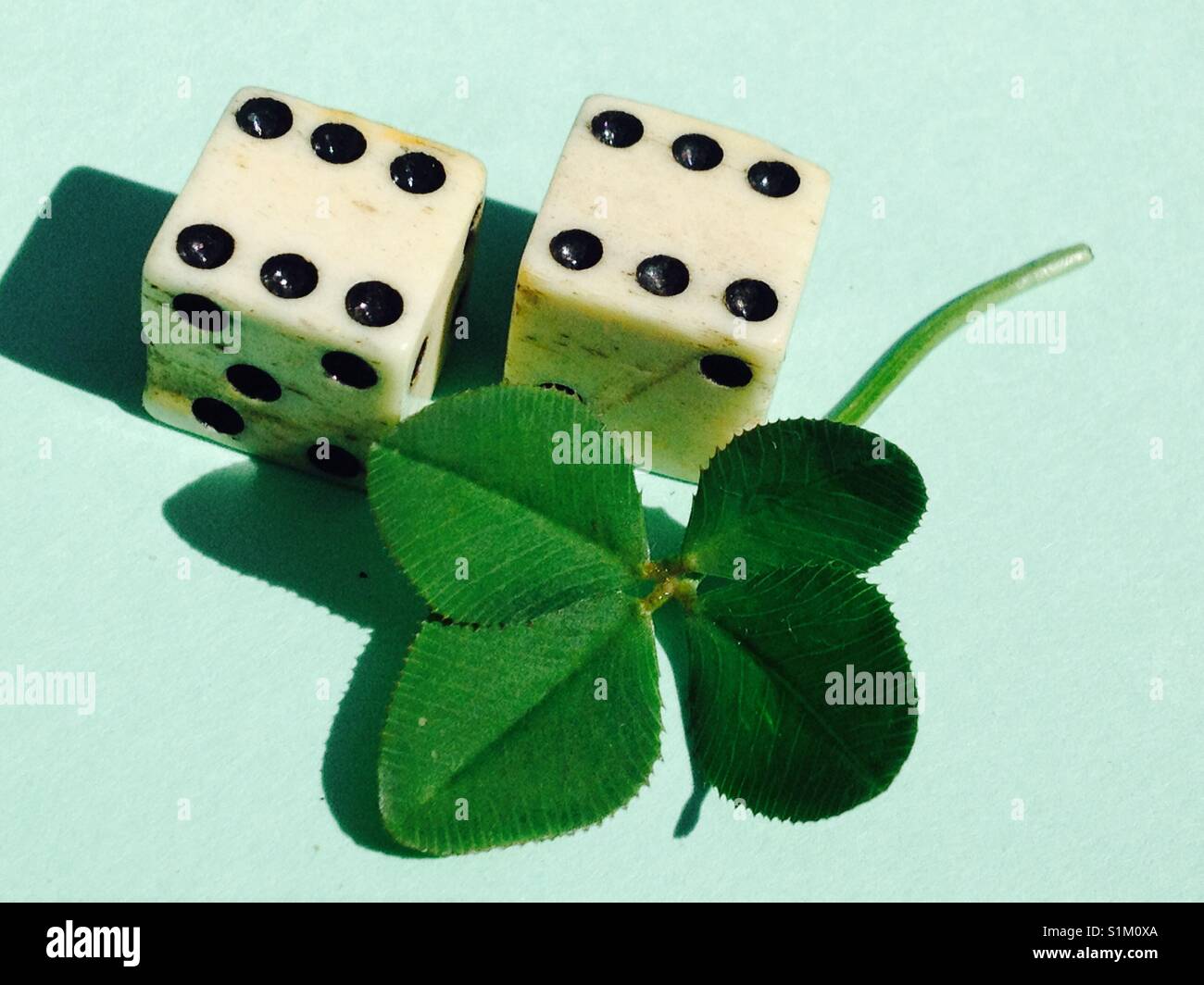 4 foglia di trifoglio e due fortunati 6 / sei die per rappresentare la buona sorte e la fortuna. Foto Stock