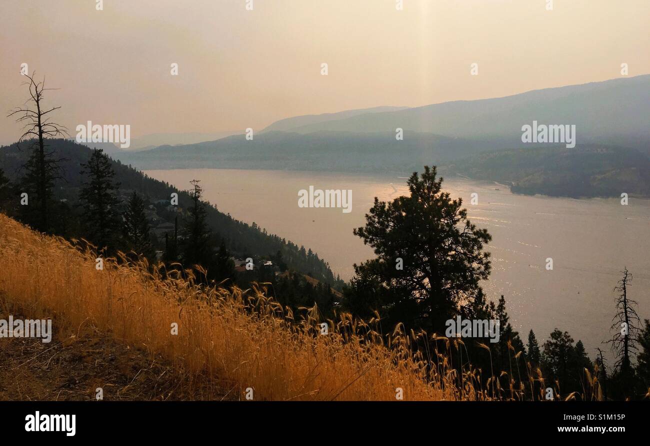 Il fumo proveniente da incendi boschivi sono disattivate fino il cielo estivo nella Okanagan Valley oltre il Lago Okanagan. Il 5 agosto 2017. Foto Stock