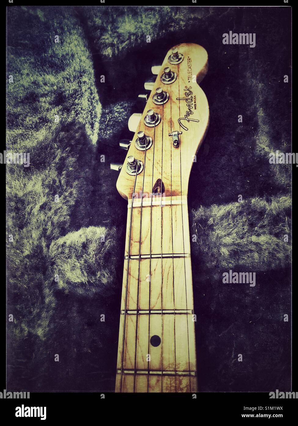 Fender Telecaster in caso. Foto Stock