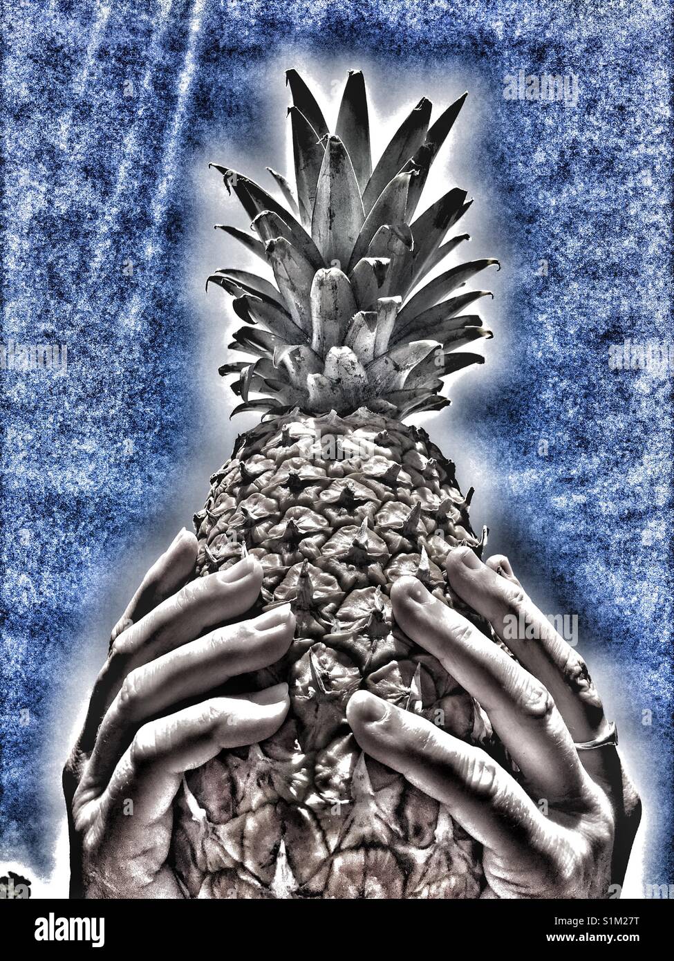 Ananas tenuto nella donna con le mani in mano e a basso angolo di visione - Immagine stock catturata con smartphone