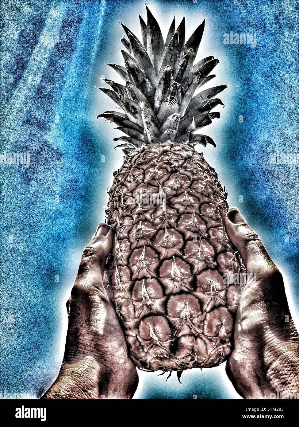 Ananas in donna le mani contro il cielo blu - Immagine stock catturata con smartphone