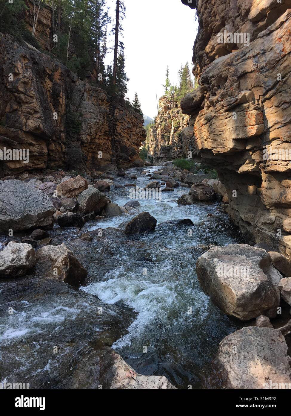 Un fiume scorre attraverso una gola nella montagna Uinta dello Utah. Foto Stock