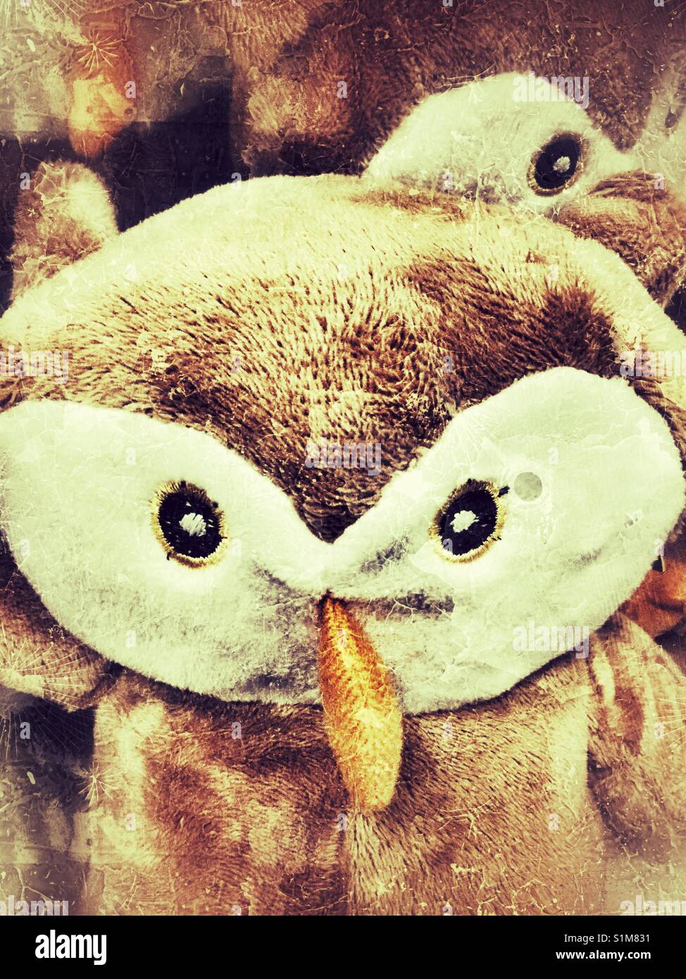 Brown gufo farcite. - Immagine stock catturata con smartphone