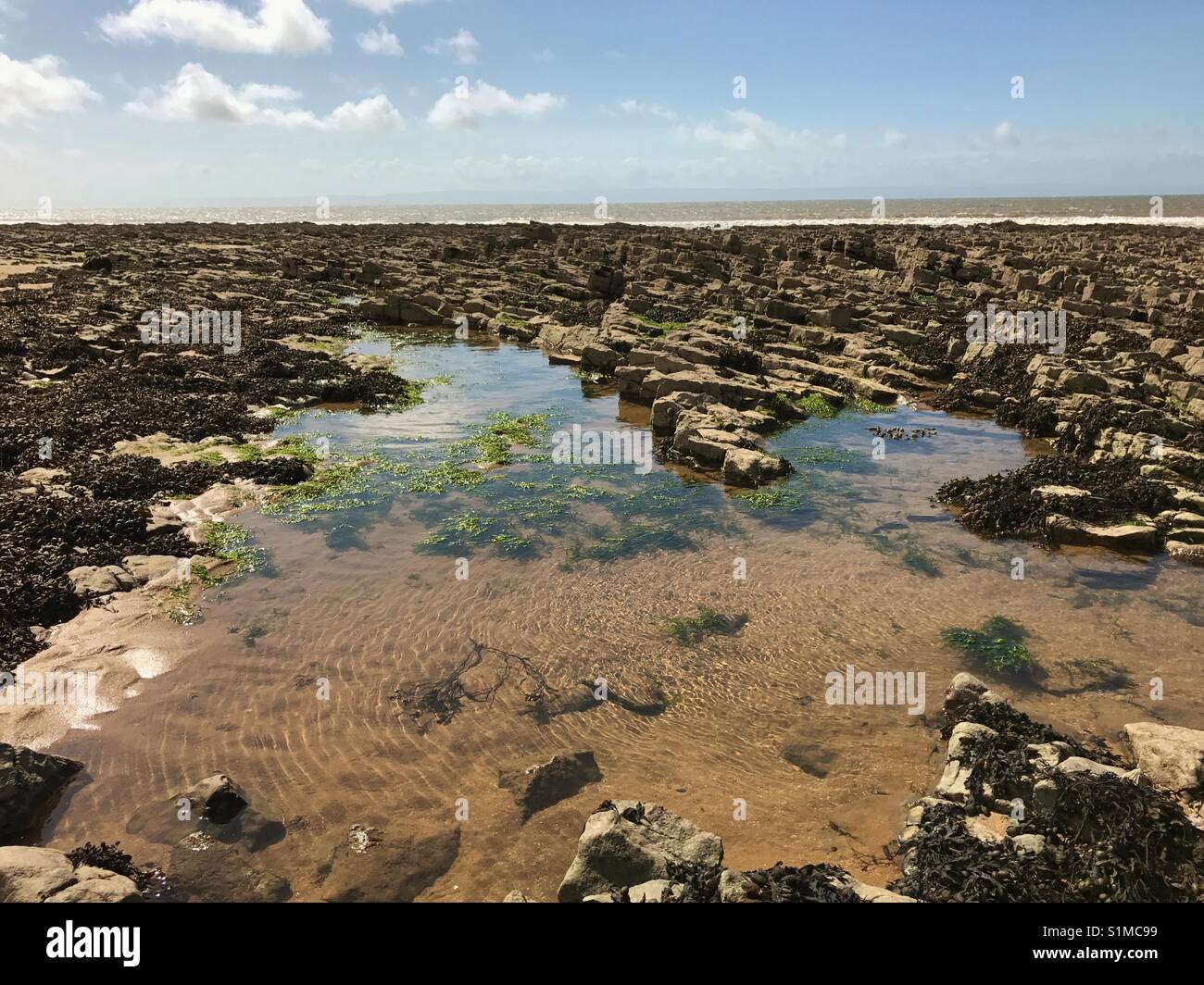 Newton Bay, Porthcawl, Galles - Agosto 2917: un rock pool a bassa marea riflette il Cielo di estate Foto Stock