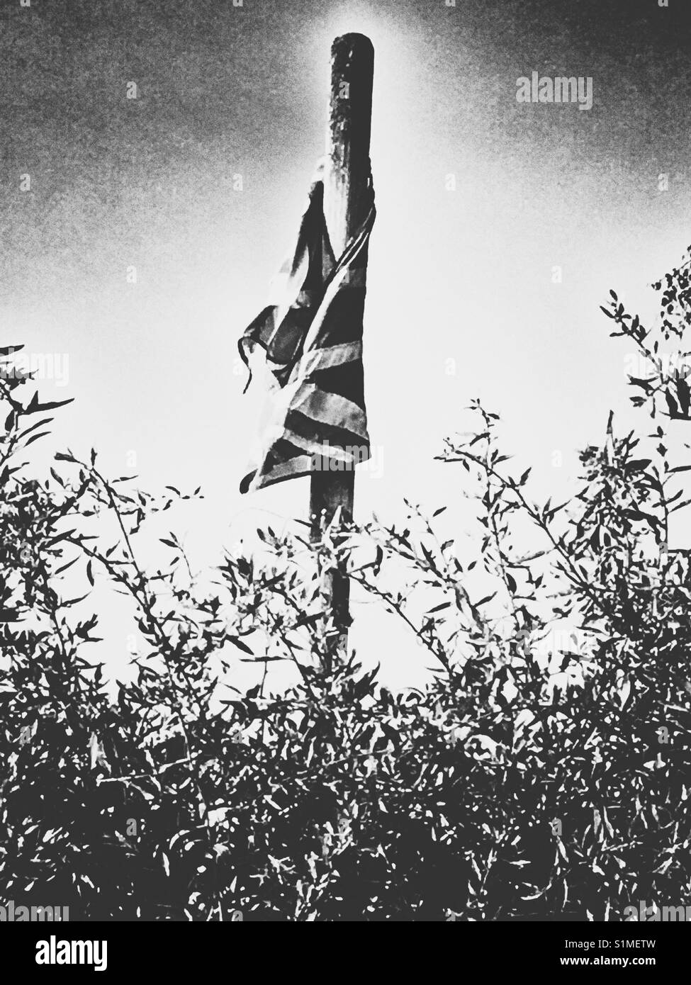 Strappata Union Jack flag - Immagine stock catturata con smartphone