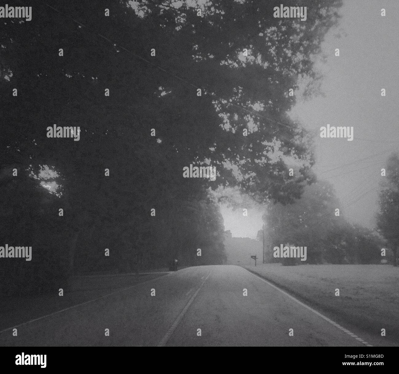 Sulla cima del colle- foto in bianco e nero di strada fiancheggiata da alberi raggiungendo il picco- Carolina del Nord - Immagine stock catturata con smartphone
