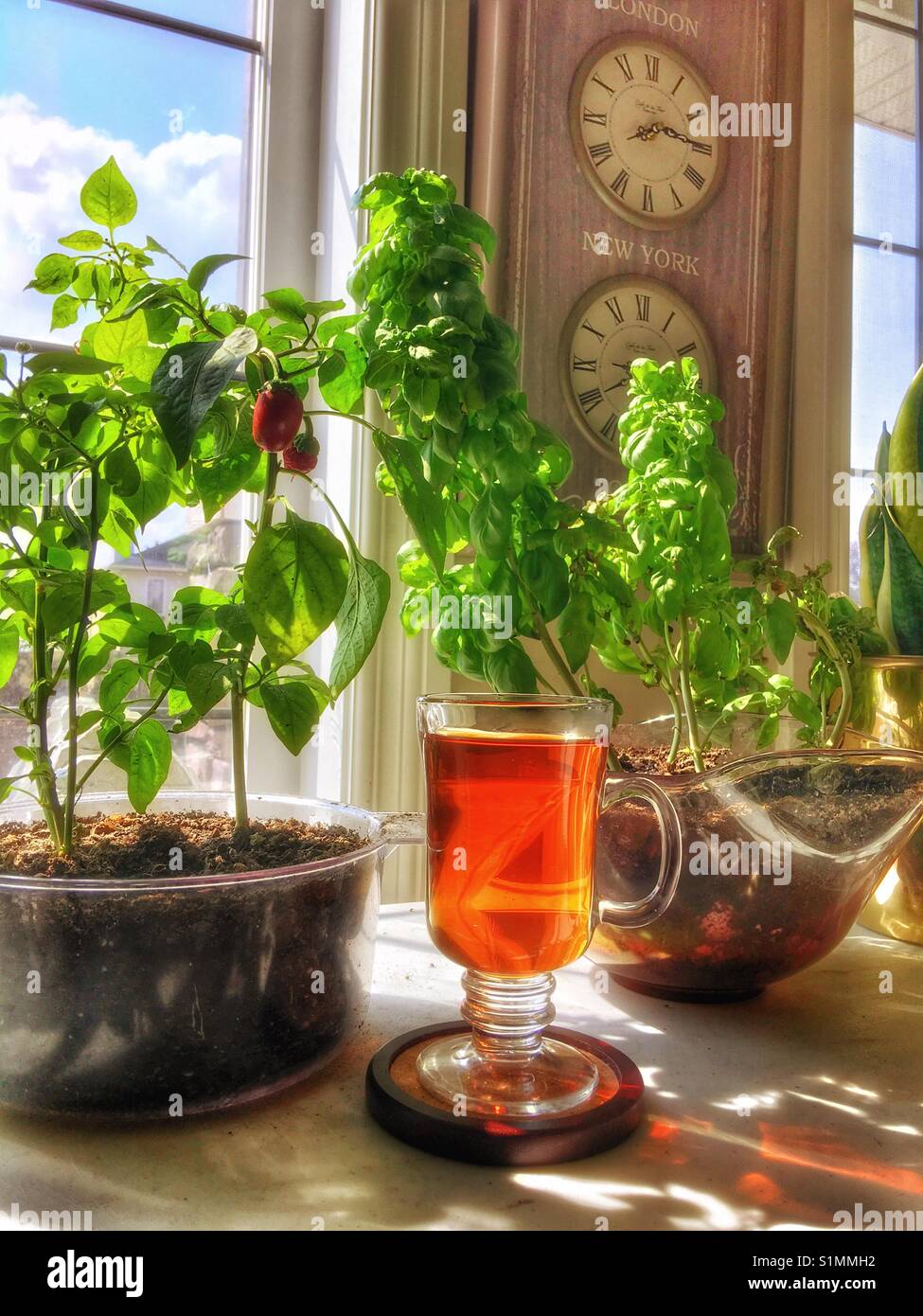 Il tè caldo con organici le foglie di tè Foto Stock