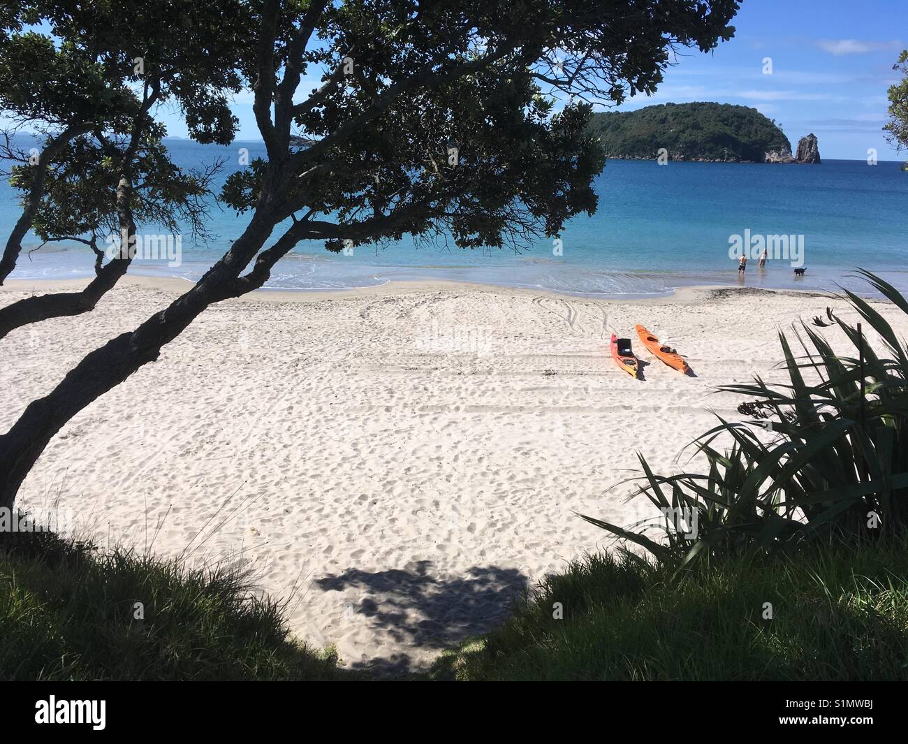 Kayak a Hahei Beach. Foto Stock