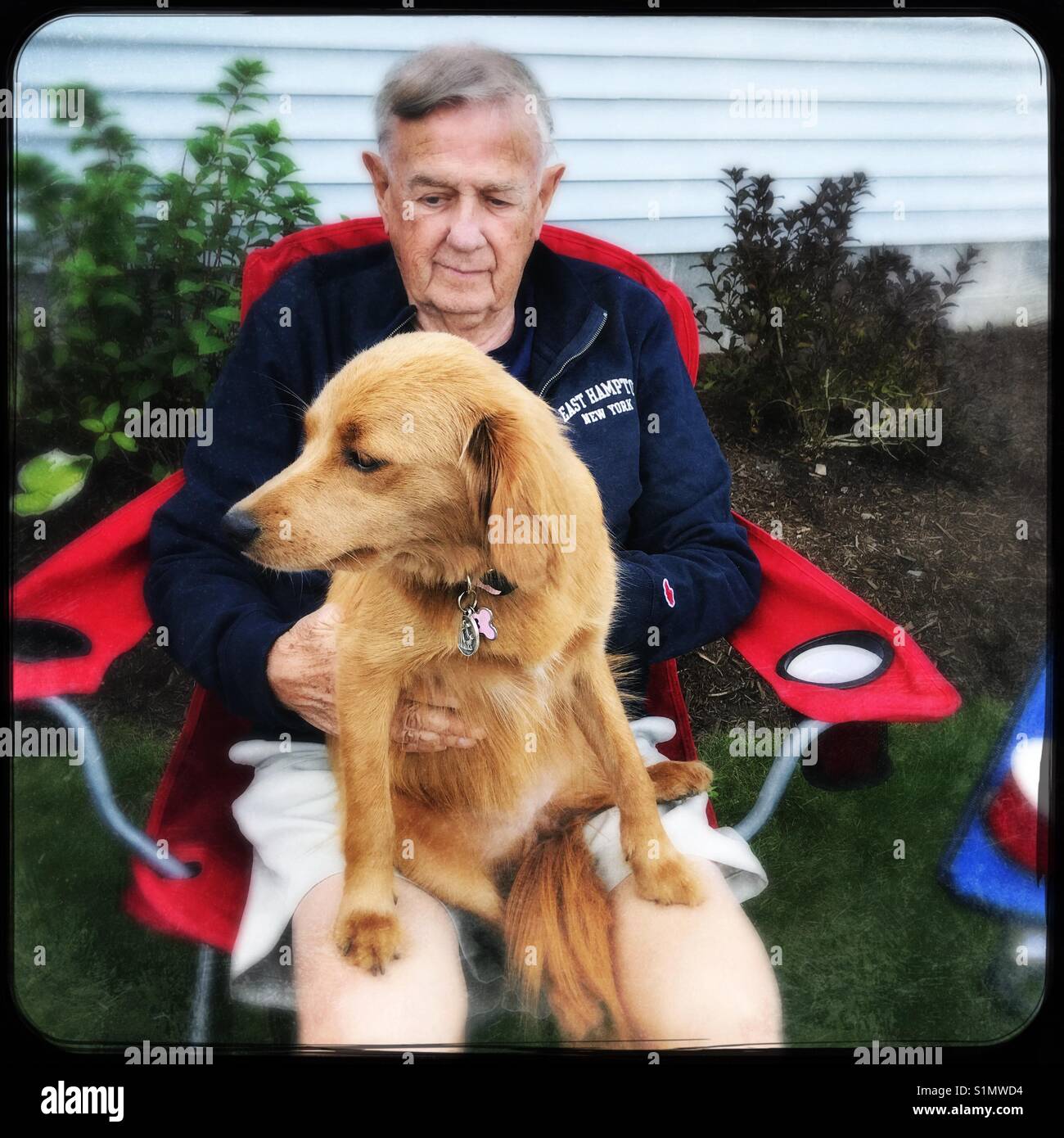 Senior l uomo e il suo cane all'aperto - Immagine stock catturata con smartphone