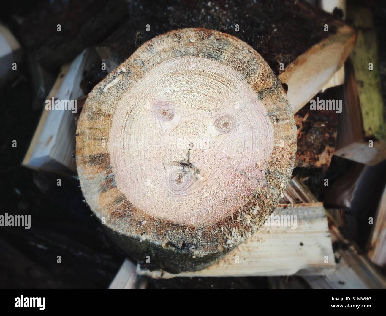 Registro con una faccia - Immagine stock catturata con smartphone