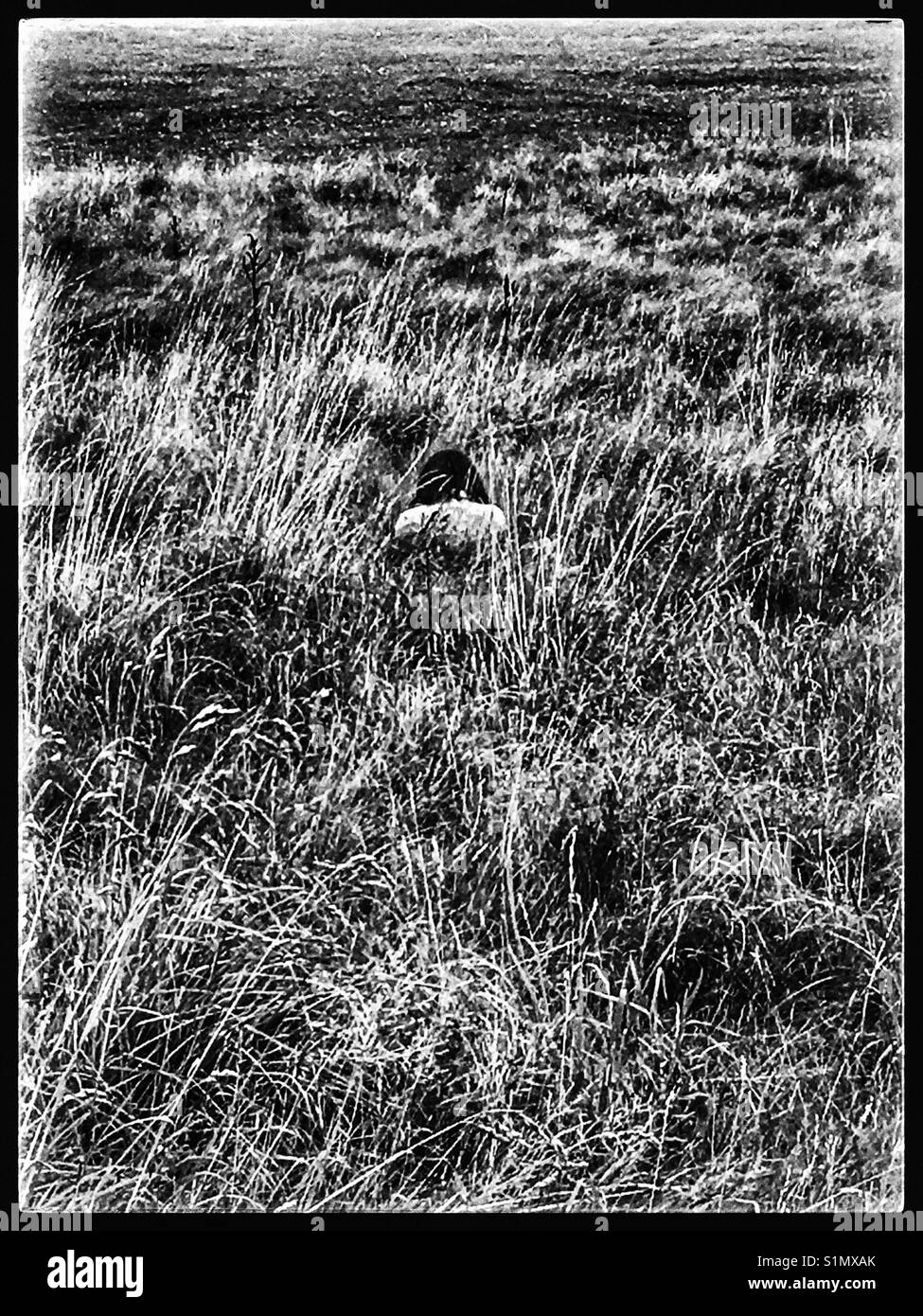 Donna solitario in un campo di graminacee selvatiche. Foto Stock