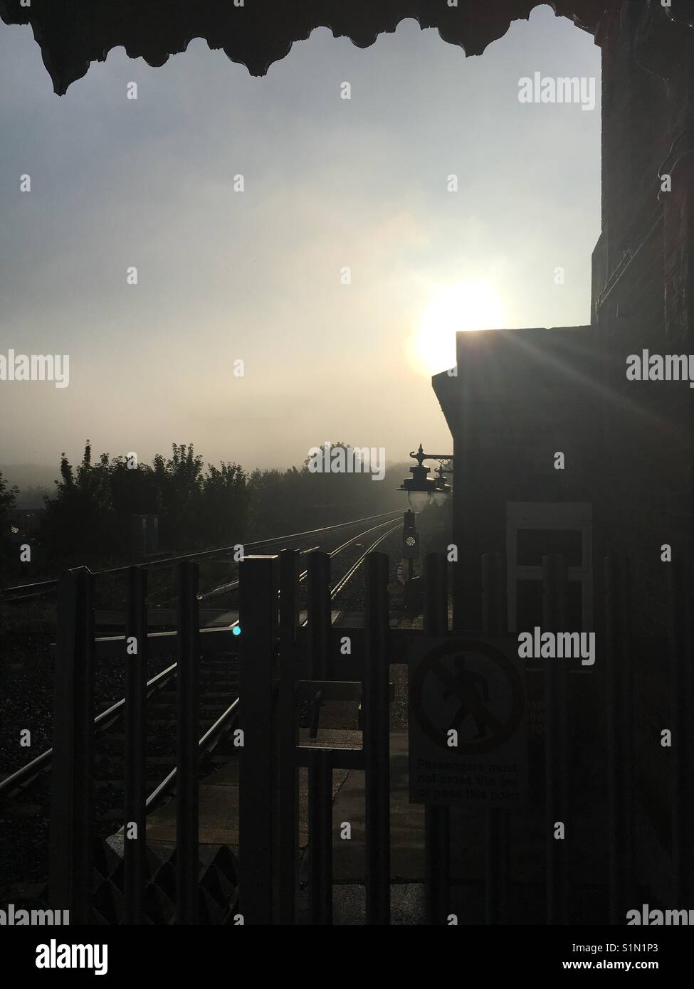 La nebbia di mattina di autunno Foto Stock