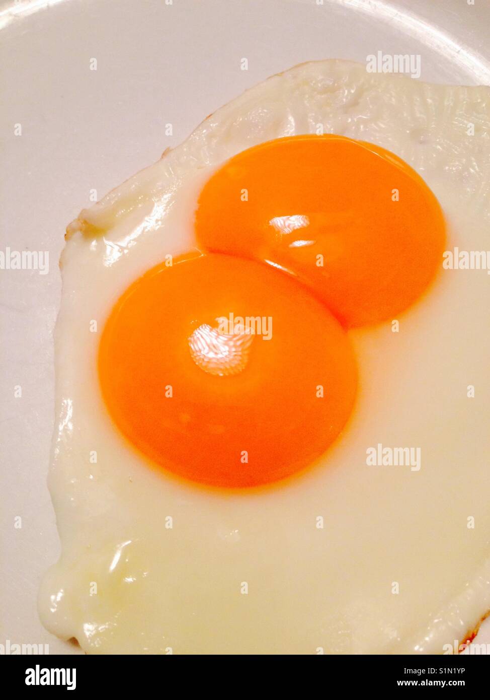 Doppio yolked uovo fritto. Sunny Side up e su una piastra e pronto per servire. Foto Stock
