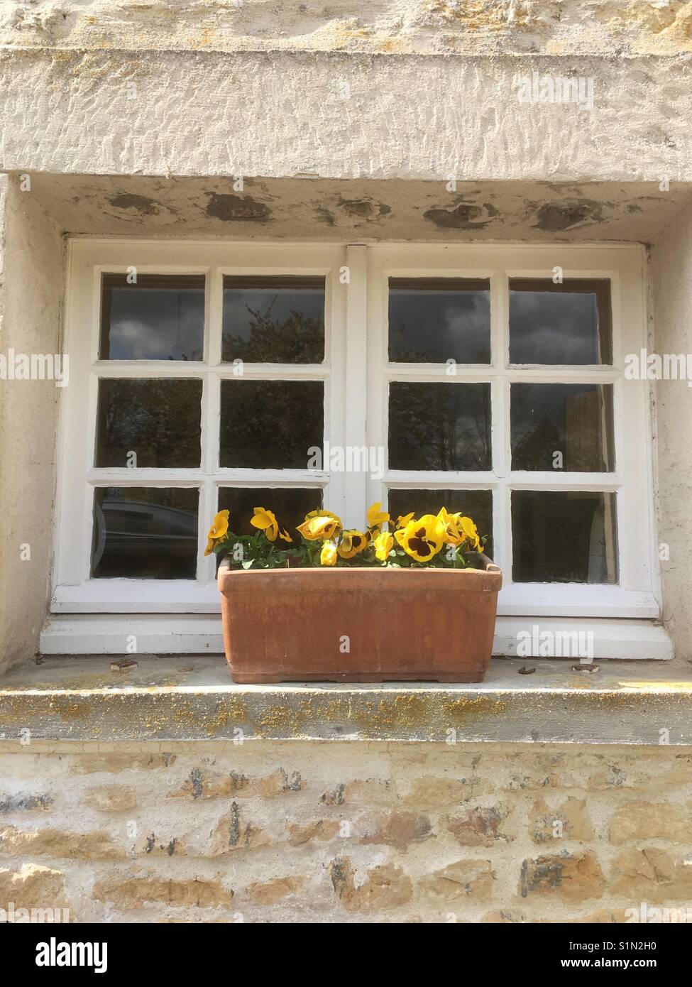 I fiori sul davanzale di una casa colonica francese Foto Stock