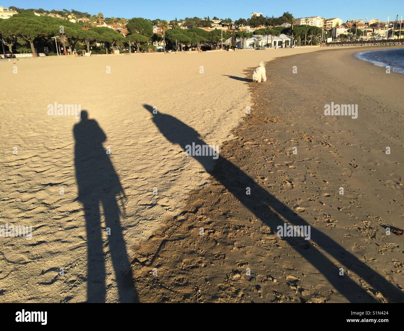 Due ombre di persone nel tardo pomeriggio sulla sabbia mentre passeggiate sulla spiaggia sulla Côte D'Azur, in Francia con il cane bianco Goldendoodle sotto il cielo blu Foto Stock