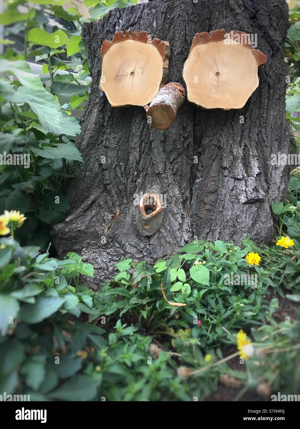 Albero - Immagine stock catturata con smartphone