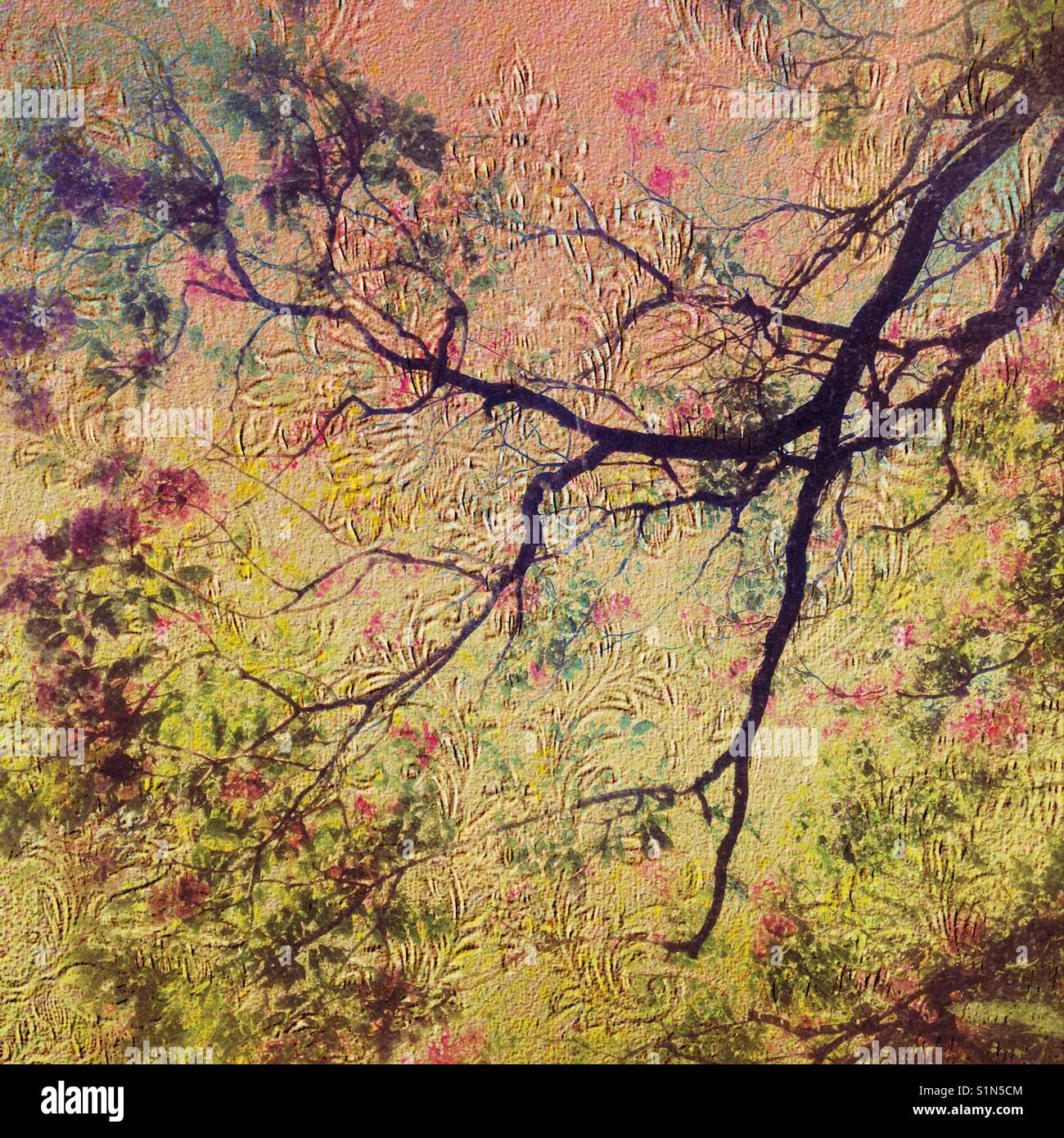 Fantasy albero nel bosco, doppio effetto di esposizione, testurizzati, modellato, stratificati iPhone foto della struttura a sbalzo con filtri e carta da parati vintage Foto Stock