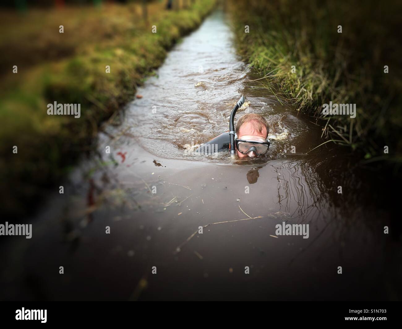 Bog snorkeling nel Campionato del Mondo in Galles Regno Unito 2017 Foto Stock