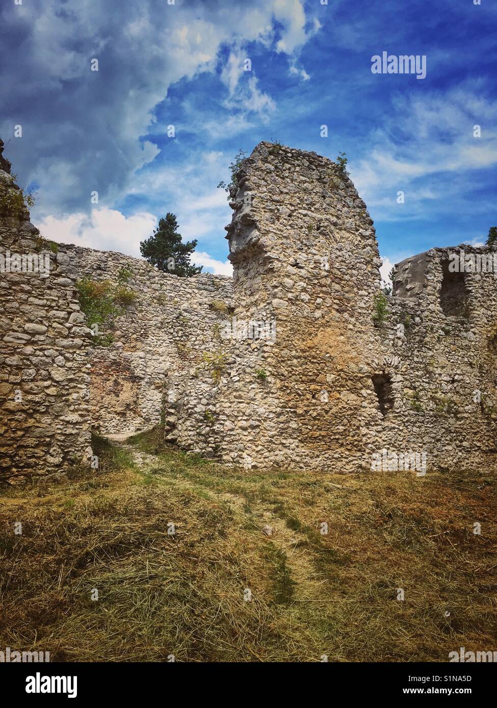 Le rovine di uno dei castelli del cosiddetto sentiero dei nidi delle aquile, nel villaggio bydlin in Polonia Foto Stock