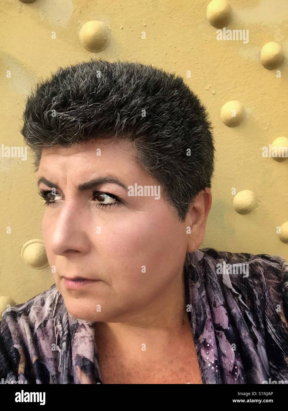 Un ritratto a colori di una donna caucasica di mezza età con capelli scuri e grigio in essa. Foto Stock