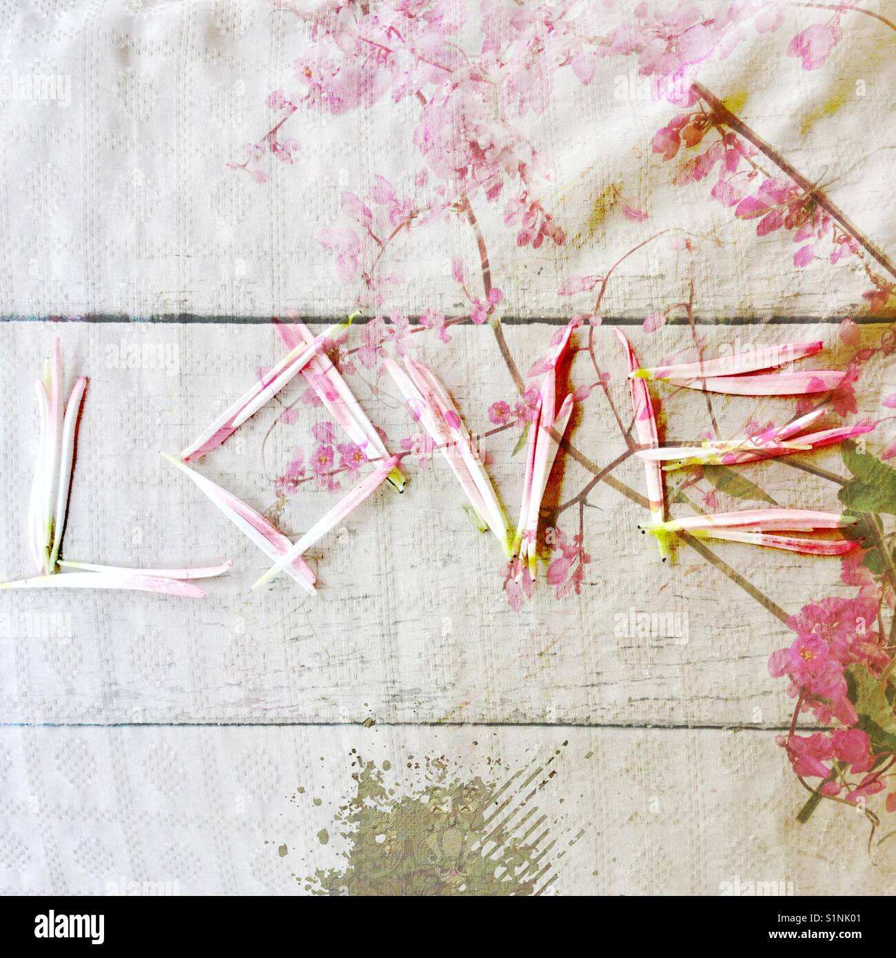 "L'amore cresce' iphone foto, petali formanti la parola "amore", con rosa vitigni floreali su legno bianco e doppio effetto di esposizione Foto Stock