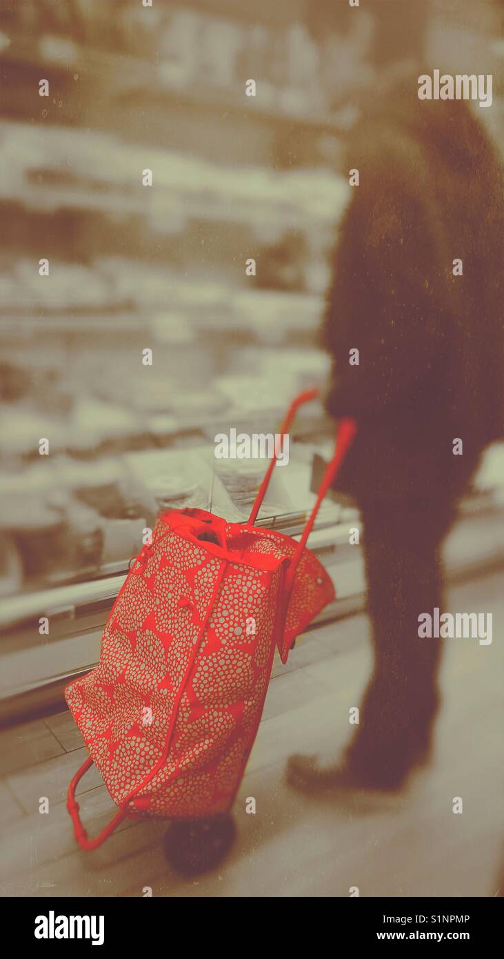 Uomo con red Carrello spesa nel supermercato guardando frigo - Immagine stock catturata con smartphone