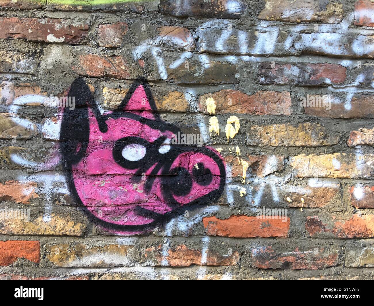 Il dipinto graffiti di un maiale del volto Foto Stock