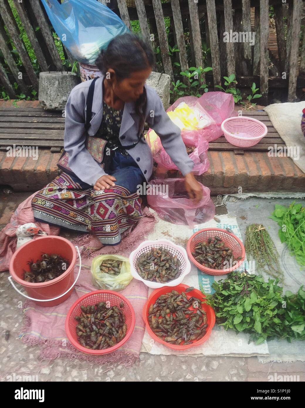 Locali di mattina presto mercato in Laos, in Asia Foto Stock