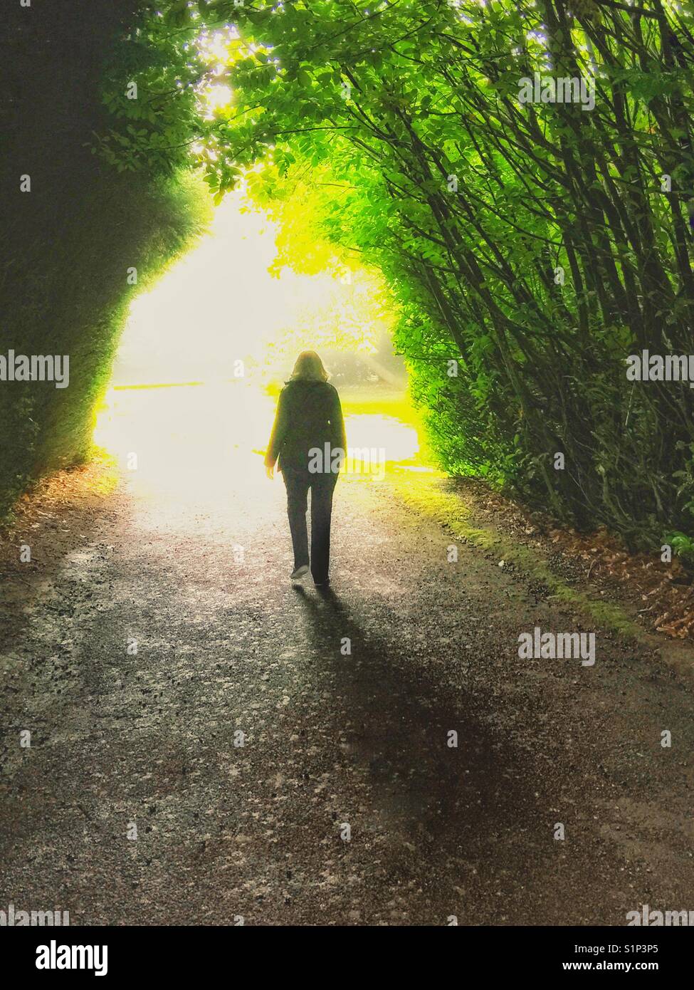 Una passeggiata nella luce. Foto Stock