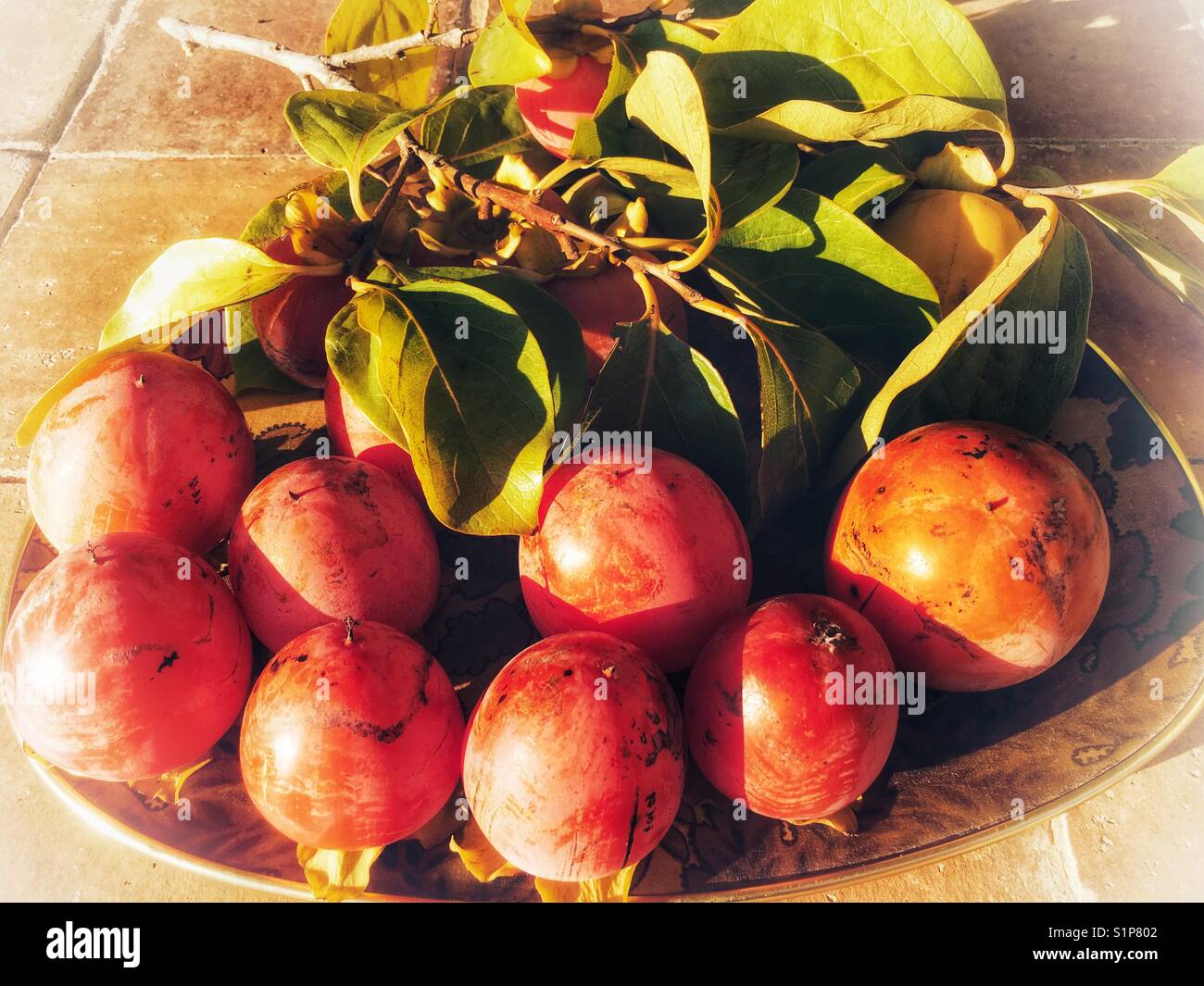 Vassoio di appena raccolto kaki - Immagine stock catturata con smartphone