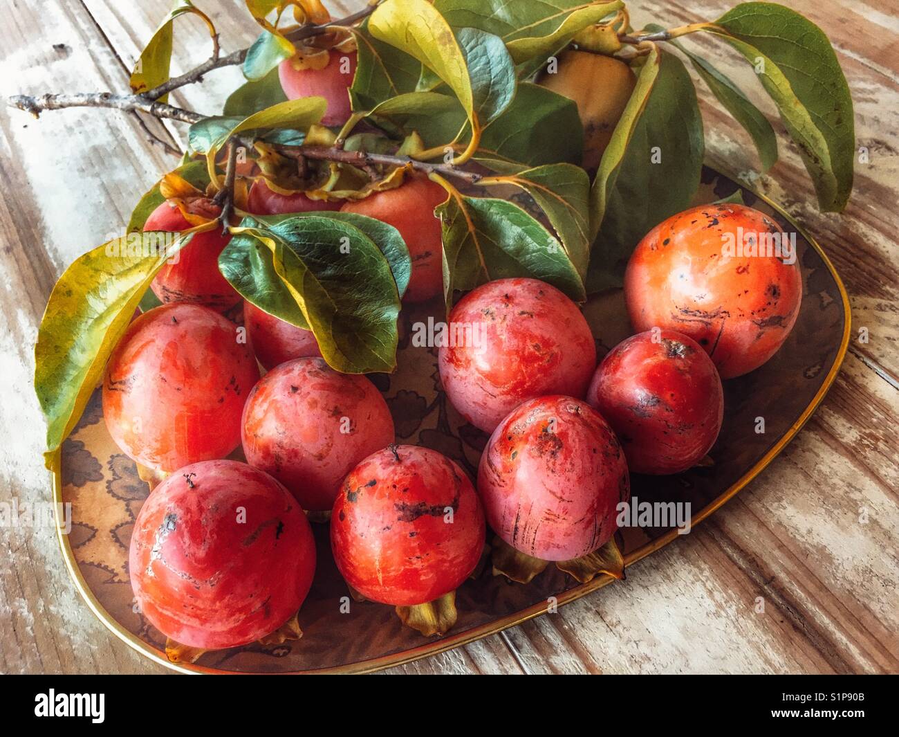 Vassoio di appena raccolto kaki, noto anche come frutto di Sharon, Diospyros kaki. - Immagine stock catturata con smartphone