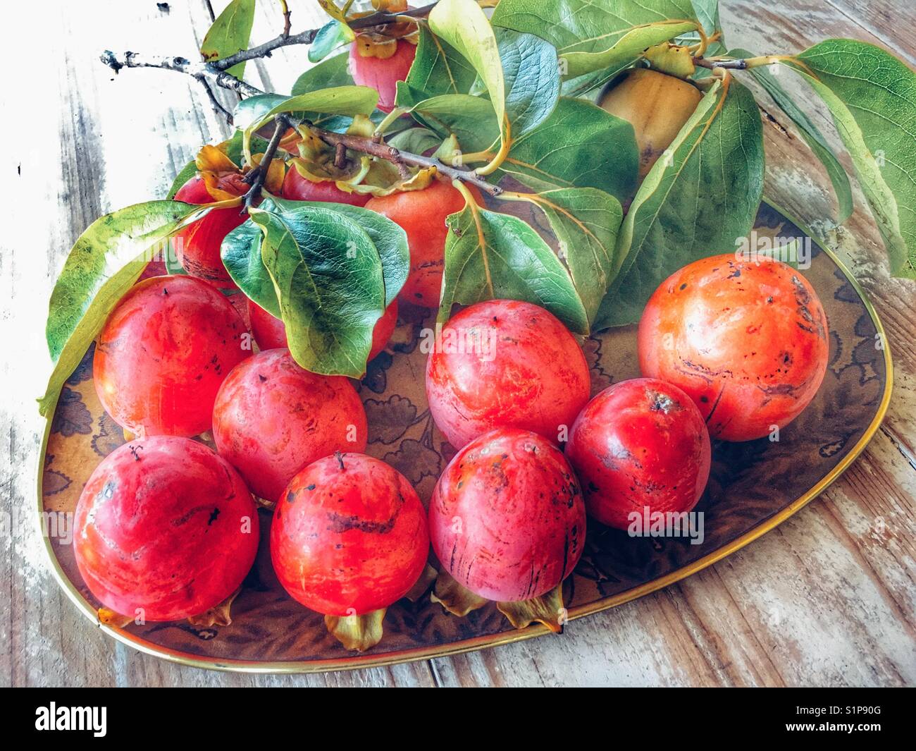 Vassoio di appena raccolto kaki, noto anche come frutto di Sharon, Diospyros kaki. - Immagine stock catturata con smartphone