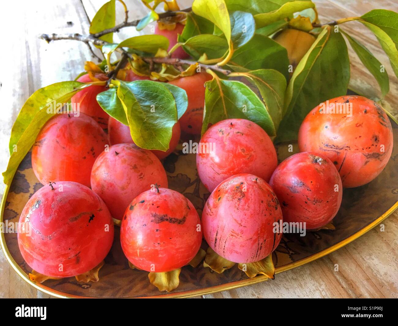 Vassoio di appena raccolto kaki, noto anche come frutto di Sharon, Diospyros kaki. - Immagine stock catturata con smartphone
