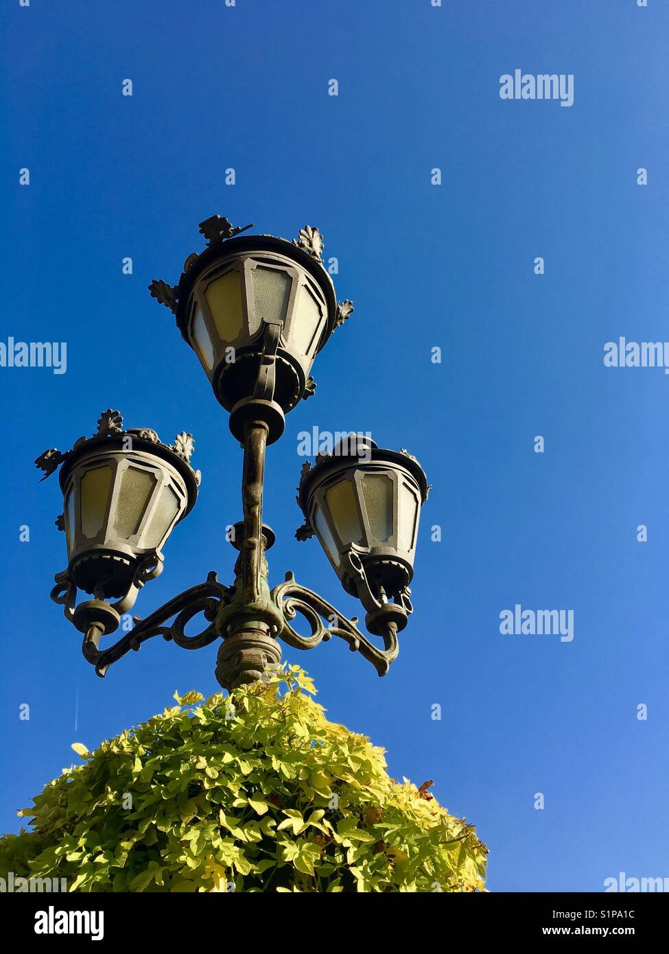 Le luci di strada con il verde a Novi Sad in Serbia in Europa Foto Stock