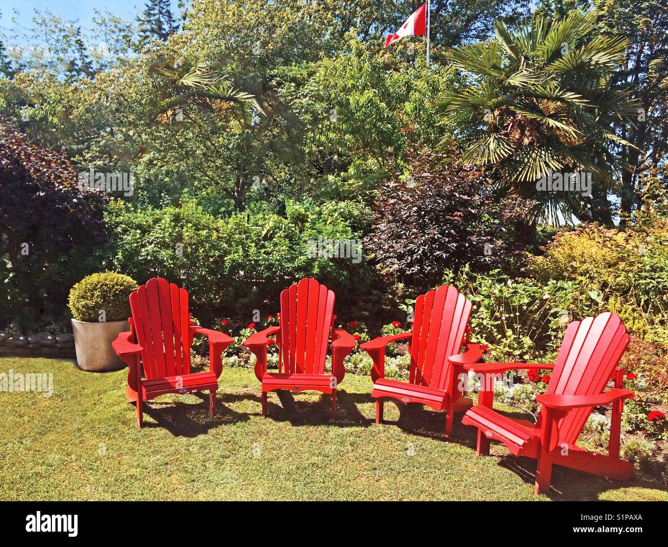 Rosso sedie Adirondack sedere vuoto in un lussureggiante giardino, con una bandiera canadese in background. - Immagine stock catturata con smartphone