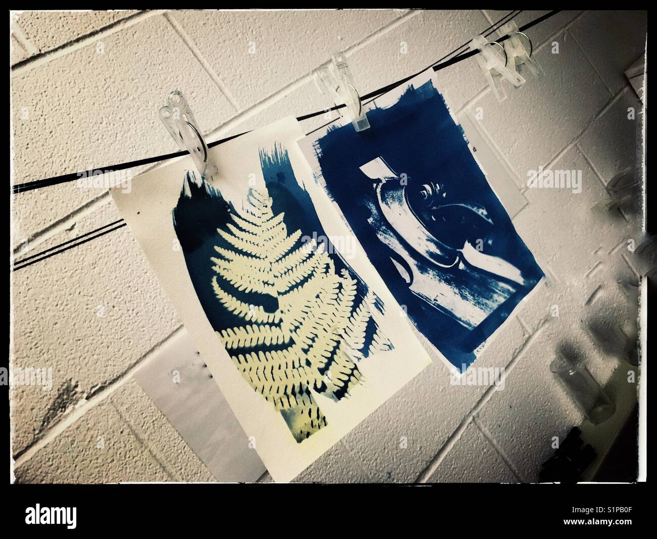 Cyanotype processo fotografico Foto Stock