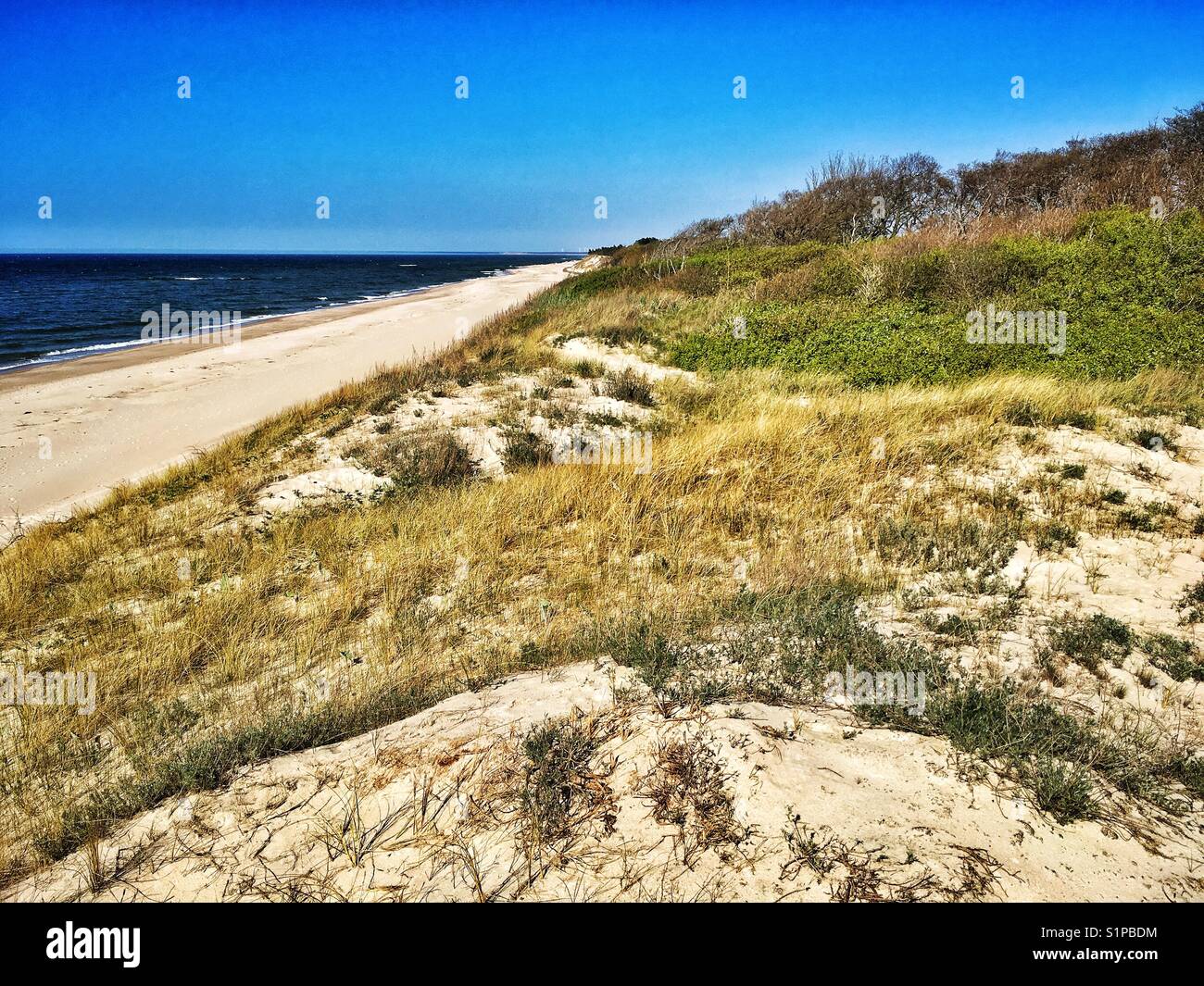 Mar baltico dune di sabbia vicino pigri e mielno città in Polonia Foto Stock