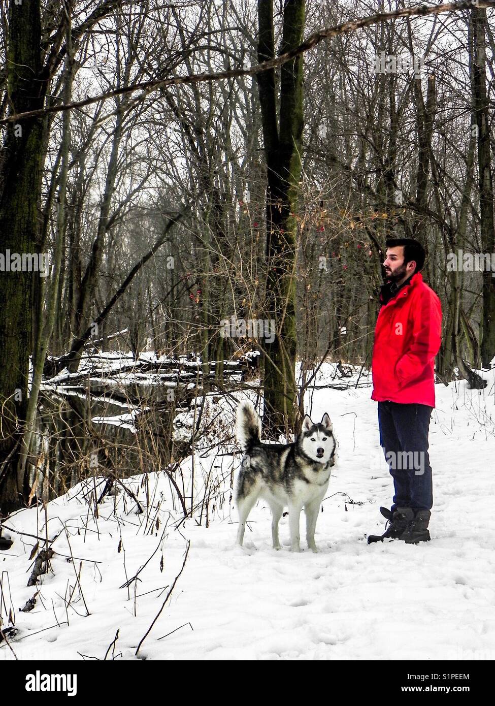 Uomo con un siberian husky cane fuori nella foresta di scattare le foto nel nevoso inverno dal fiume. Foto Stock