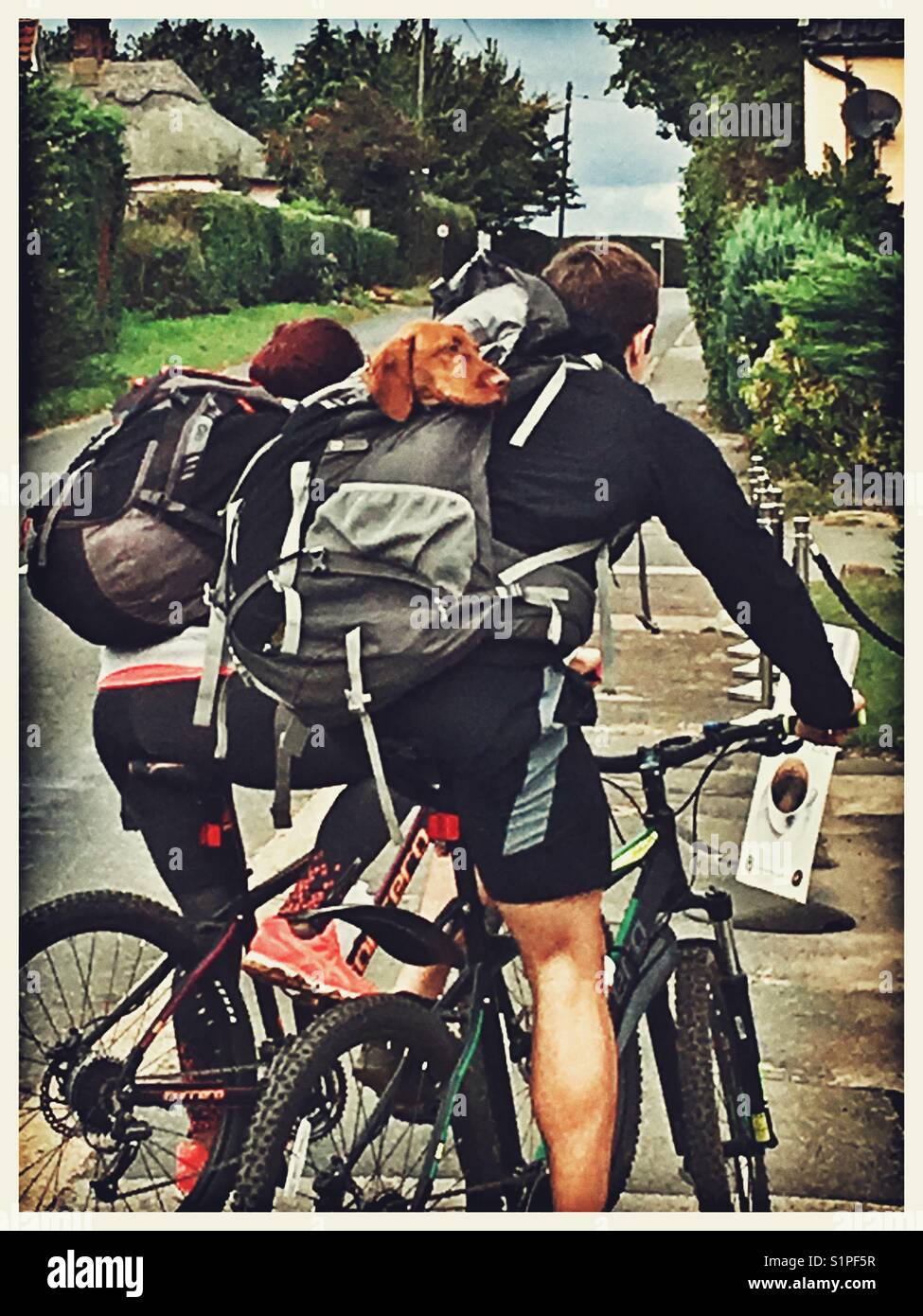 Paio di turisti in bicicletta con il loro cane. Foto Stock