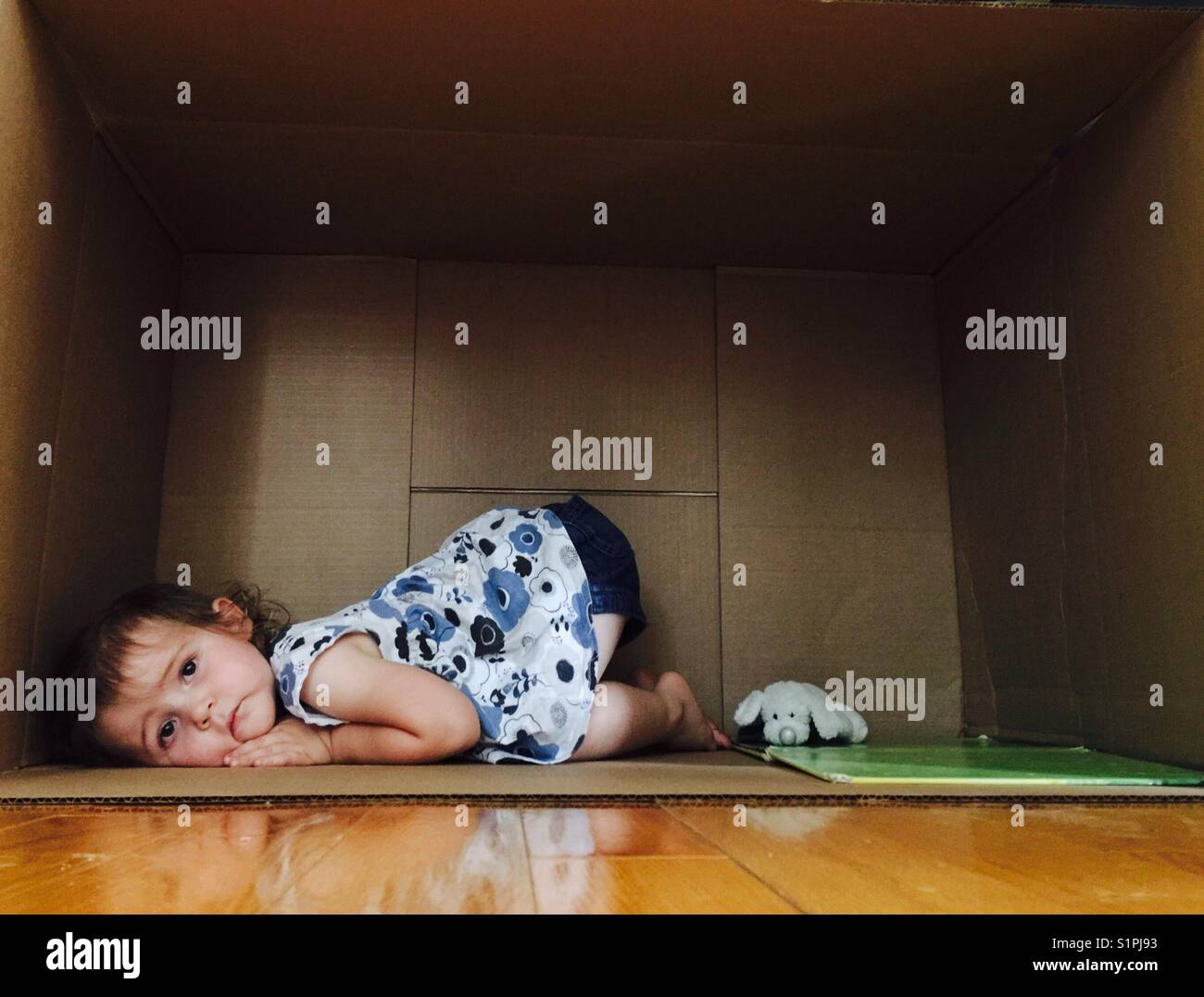 Triste toddler girl in una scatola di cartone Foto Stock
