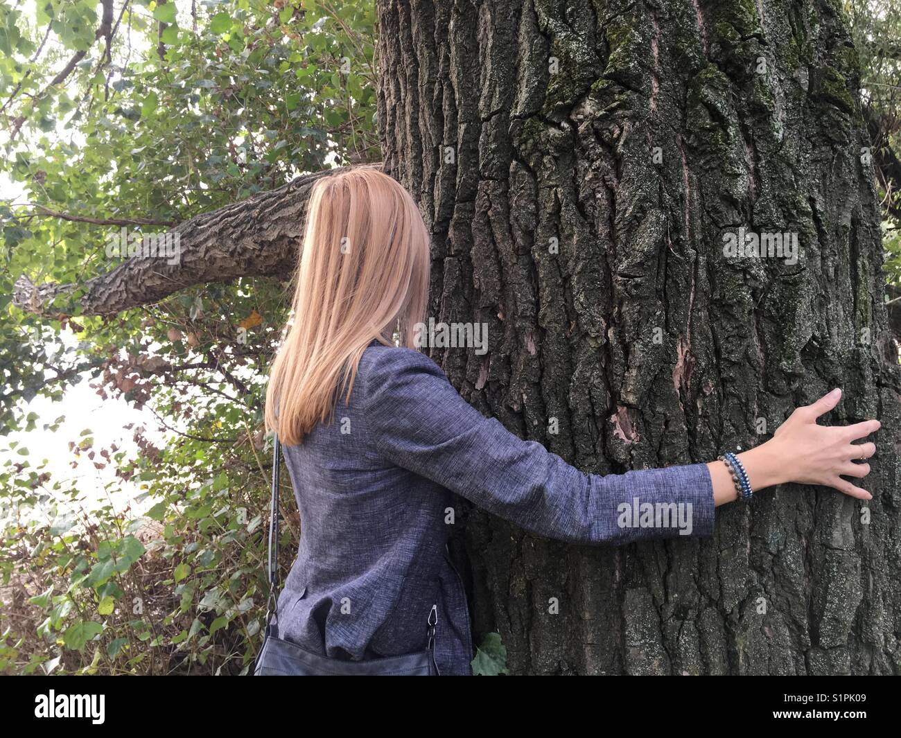 Abbracciando grande albero Foto Stock