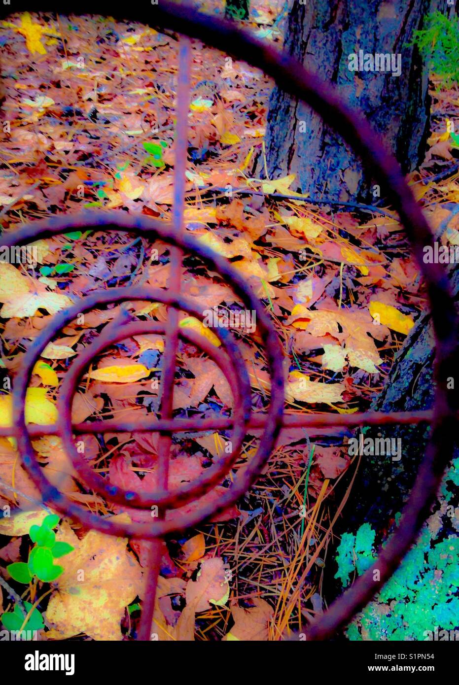 Mirini - Immagine stock catturata con smartphone