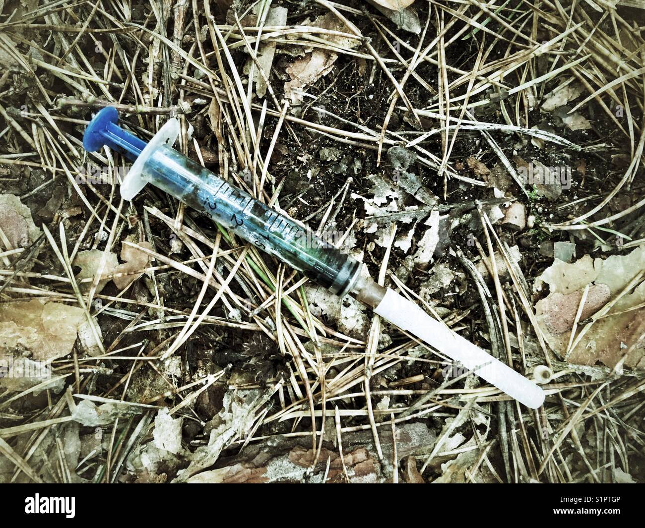 Siringa usata sul pavimento della foresta Foto Stock