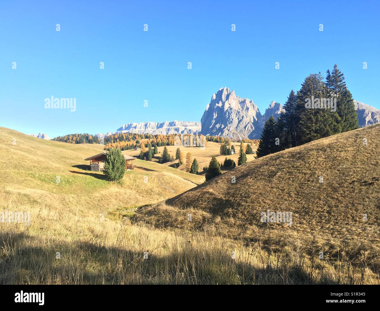 Alpe di Siusi - Alpe di Siusi Foto Stock