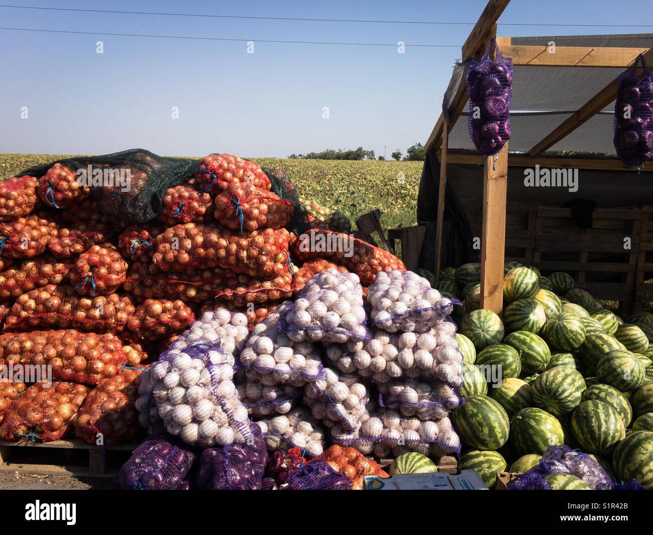 La vendita di verdura Foto Stock