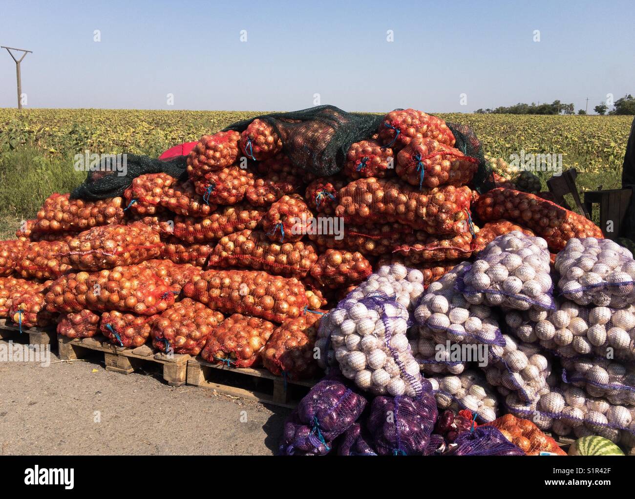 Il mercato locale di verdure Foto Stock