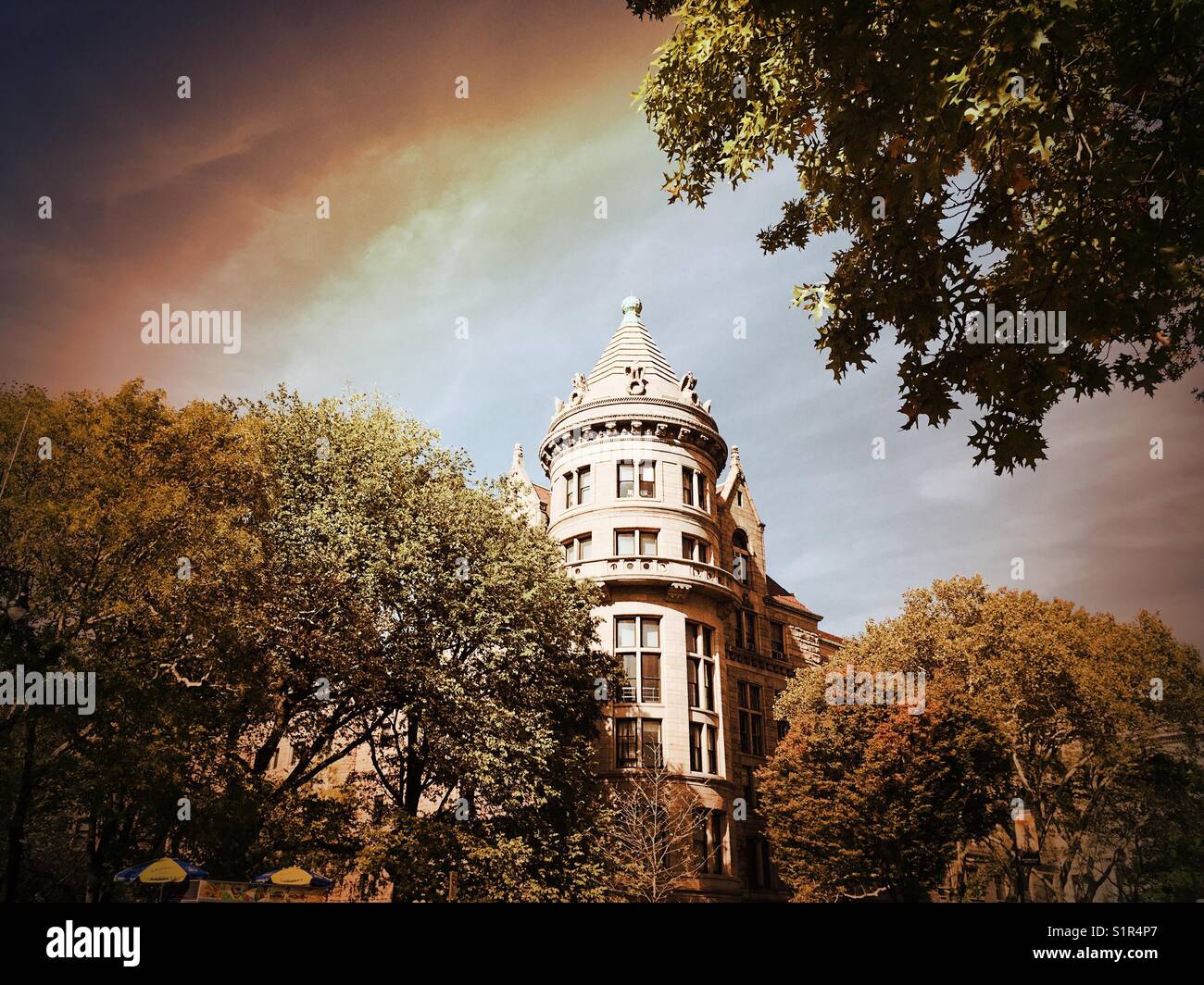 Museo di storia naturale, della parte ovest di Central Park di New York, Stati Uniti d'America - Immagine stock catturata con smartphone