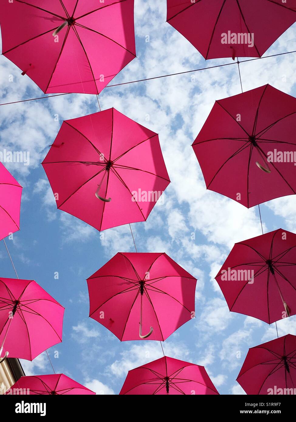 Ombrelli rosa appesi immagini e fotografie stock ad alta risoluzione - Alamy