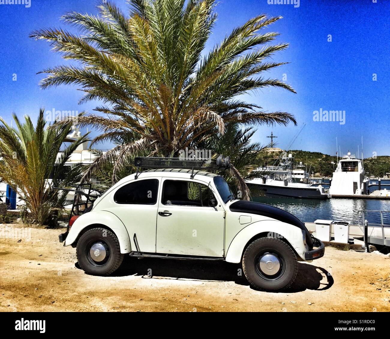 Un vecchio modello VW parcheggiato di fianco a un albero di palma presso il porto turistico di Puerto Los Cabos, Messico. Foto Stock