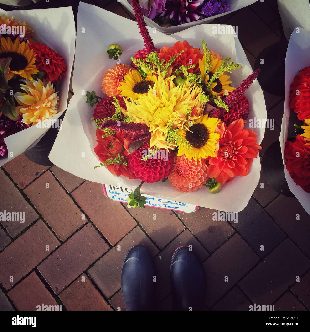 La scelta di freschi Fiori d'autunno al mercato agricolo a Seattle - Immagine stock catturata con smartphone